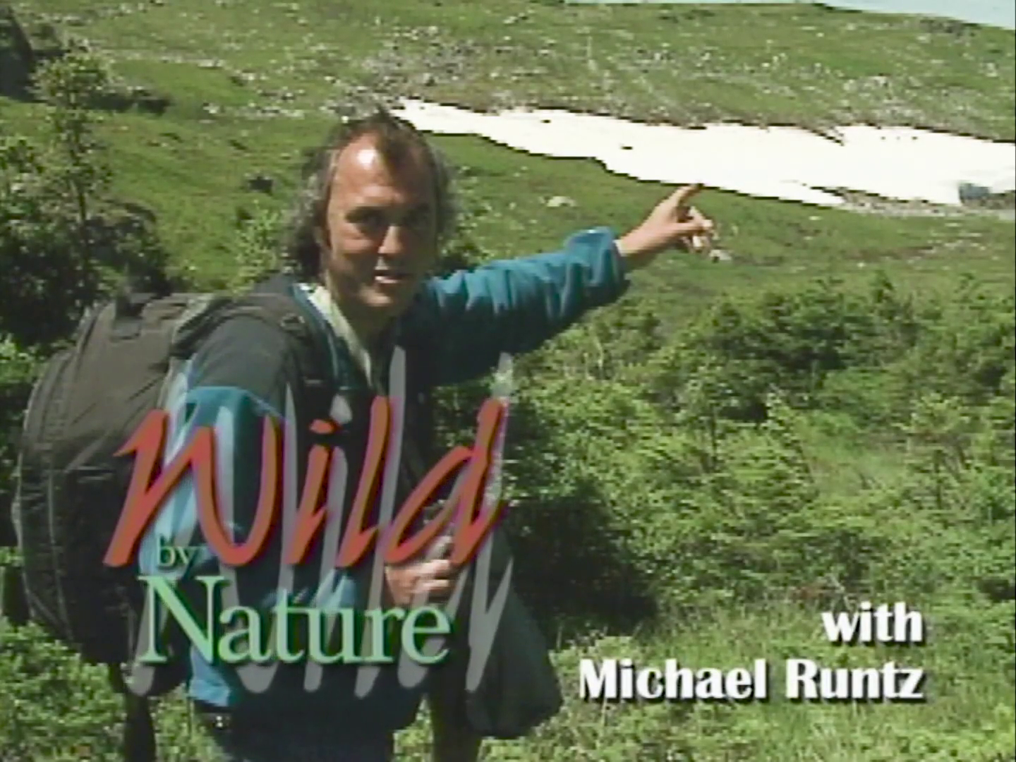 Treasure: Michael Runtz' Wild by Nature